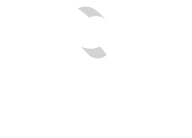 logo-synesgy